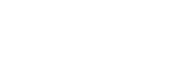 zoom info logo